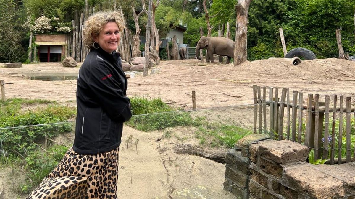 Directeur DierenPark Amersfoort vertrekt