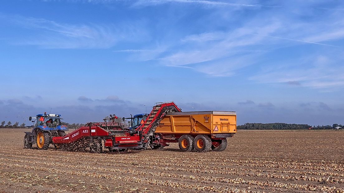 'Uienprijs is een zaak van de sector zelf'