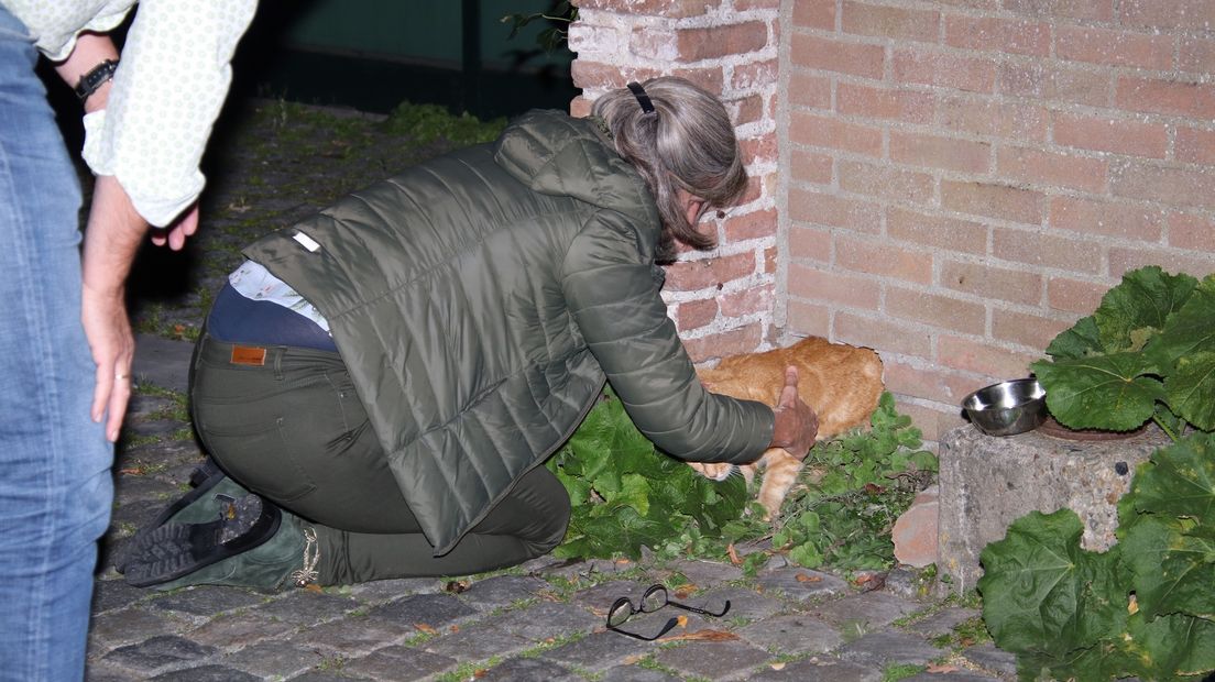 Bewoonster lokt de kat met snoepjes