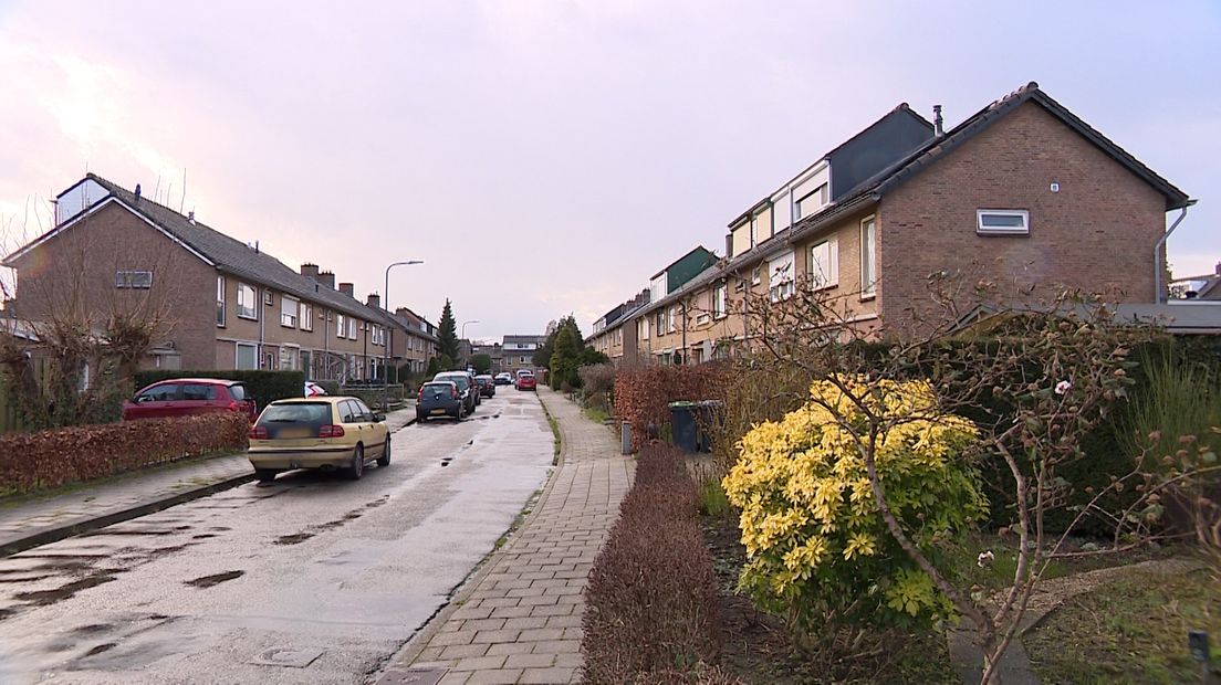 De Scheuterstraat  in Rheden.