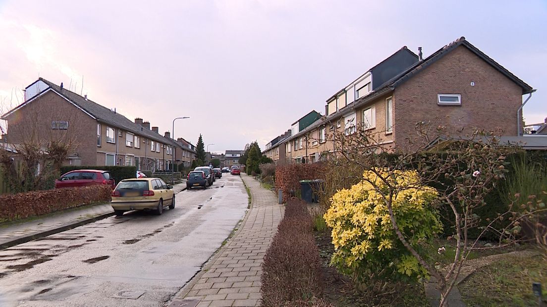 De Scheuterstraat in Rheden.