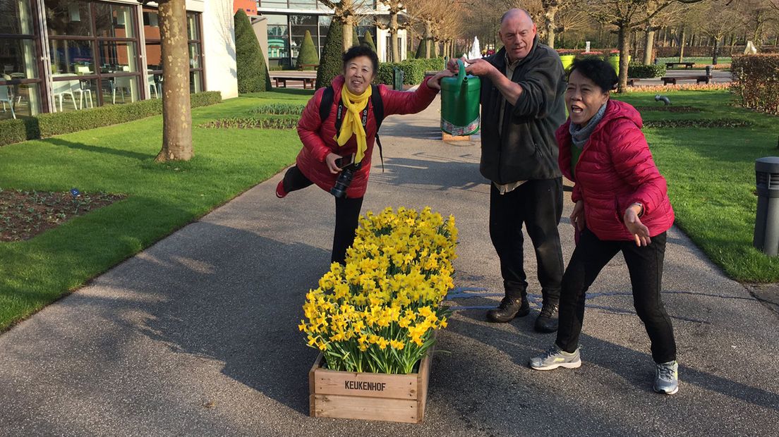 Keukenhof 2017