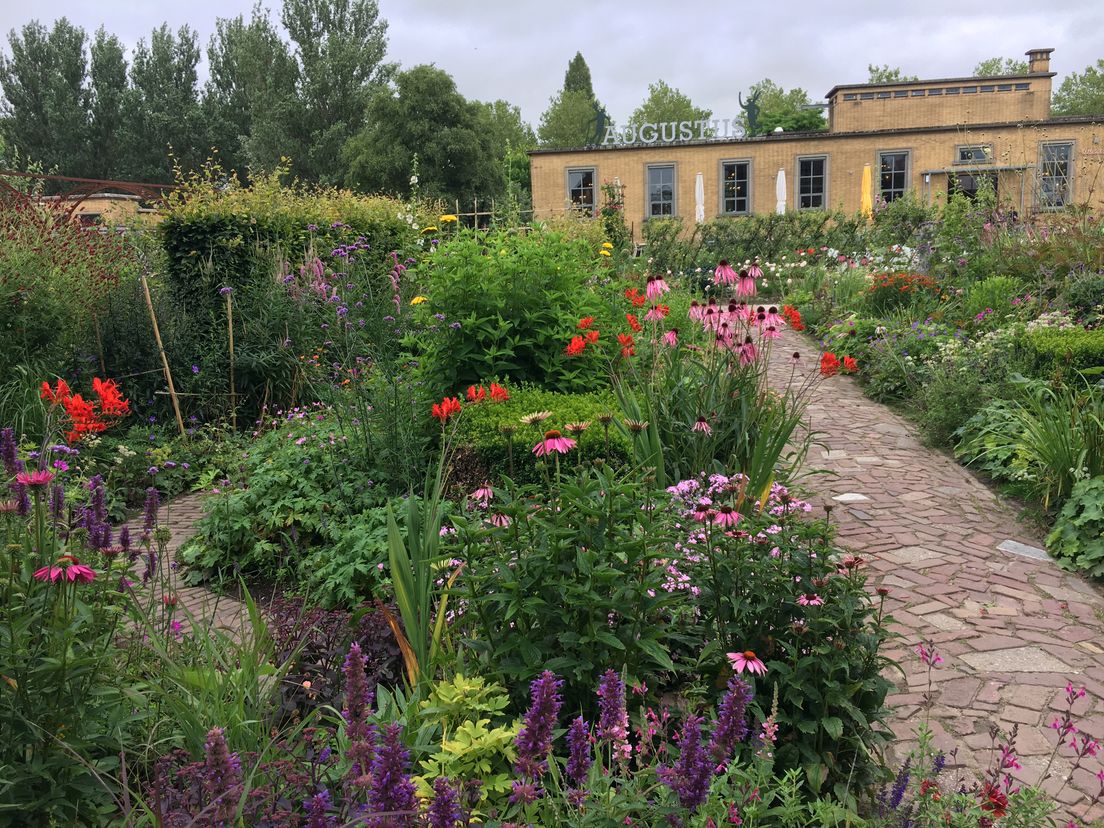 Een voorbeeld van een mooie tuin: Villa Augustus in Dordrecht