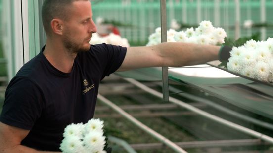 Werkgevers straks verantwoordelijk voor huisvesting arbeidsmigranten: 'Goede woonplek zorgt voor binding'