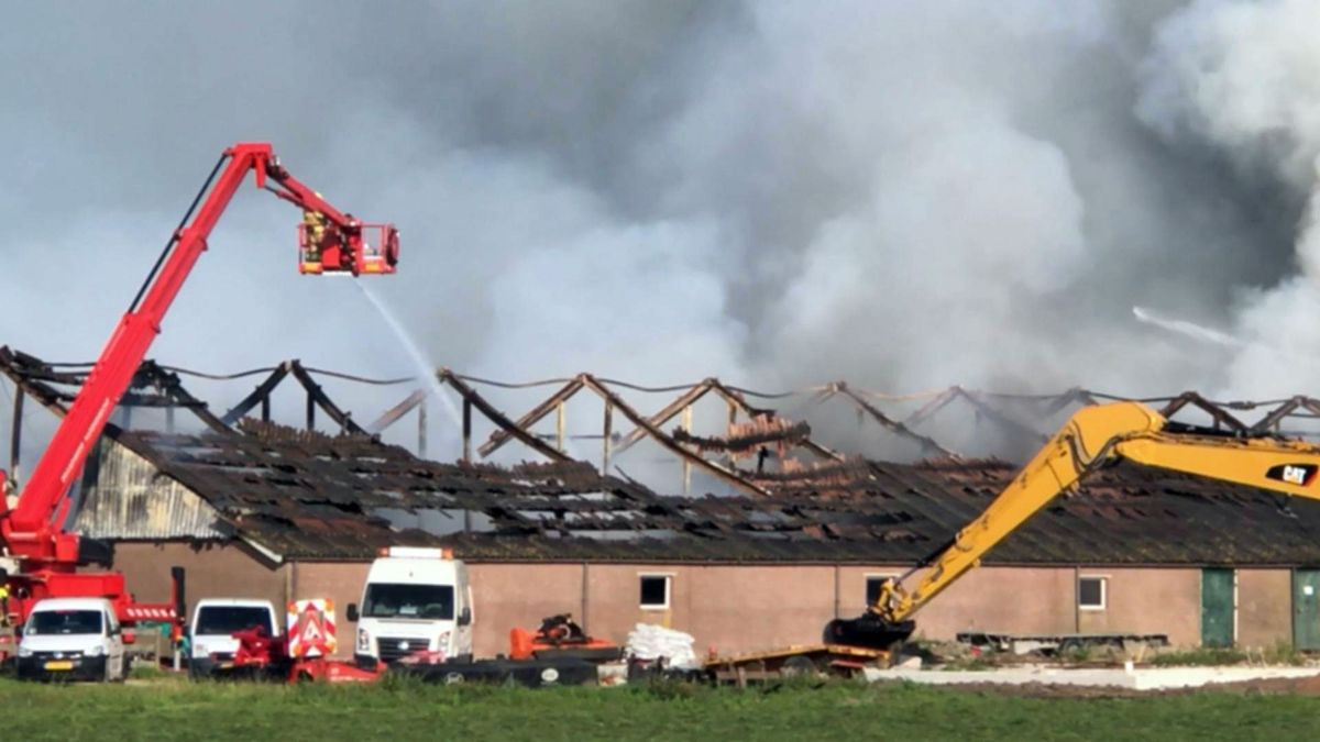 Grote brand Streefkerk: vrijwel alle 1500 varkens omgekomen