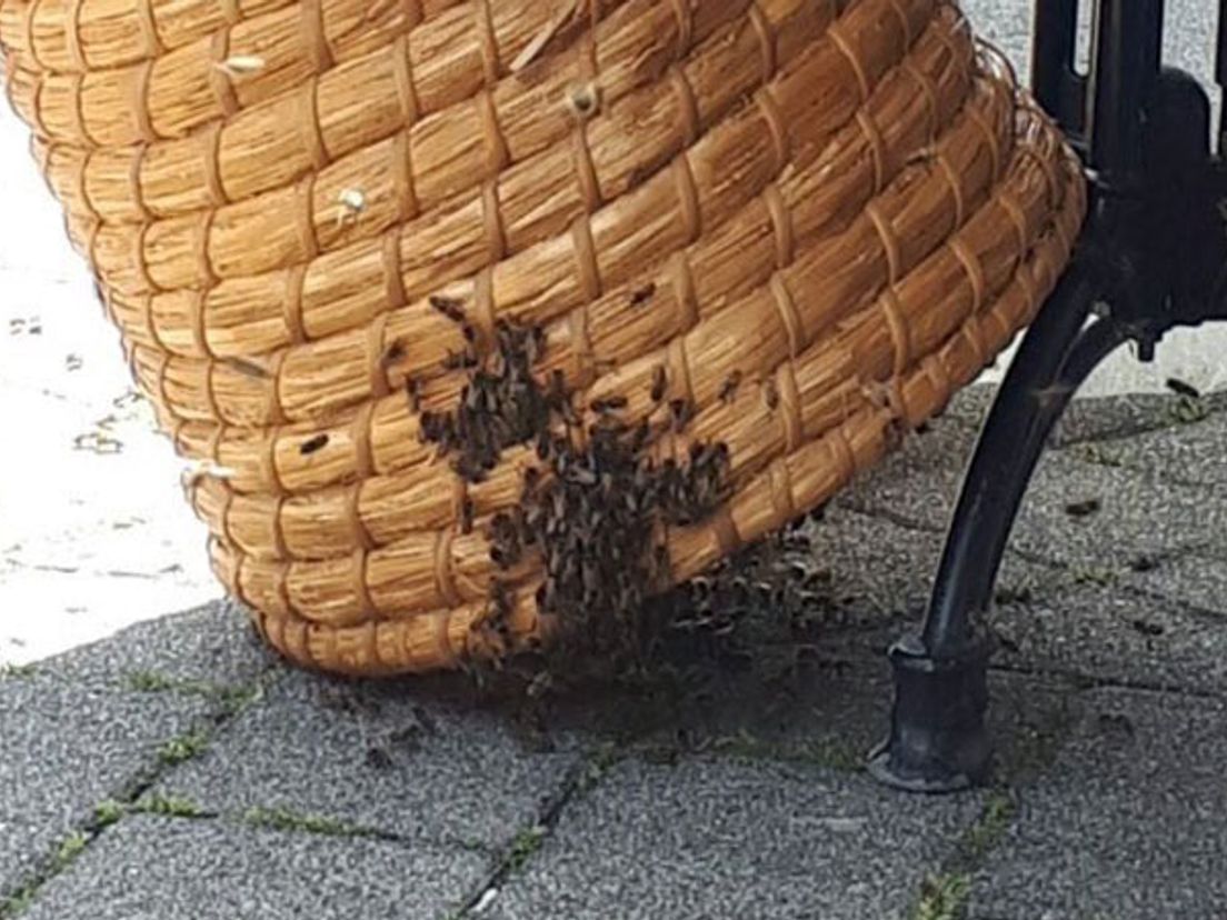 Bijen zijn gevangen