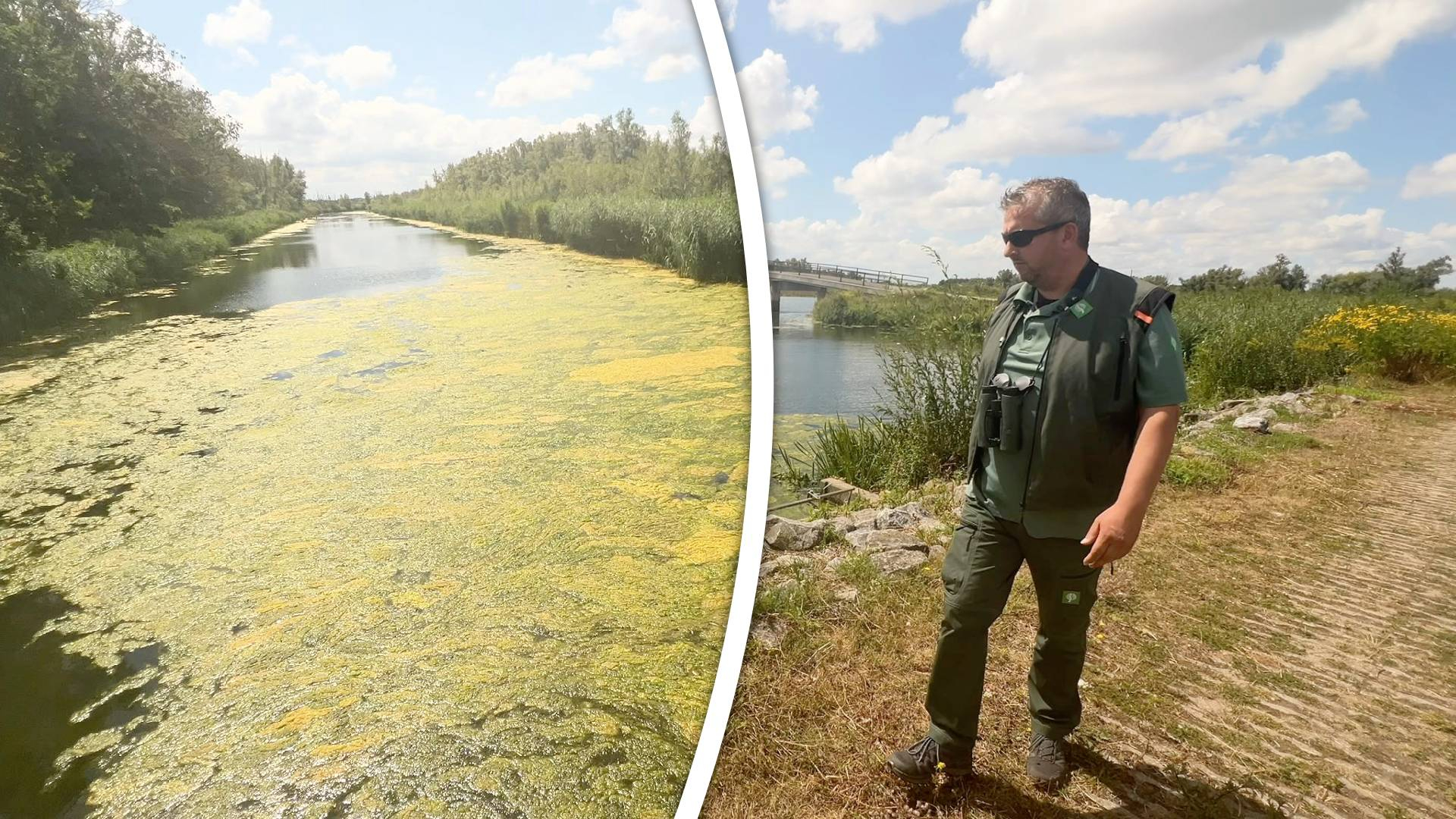 Boswachter waarschuwt: lage waterstand maakt varen in de Biesbosch lastiger
