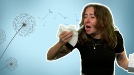 Waarom krijg jij straks ook last van hooikoorts?