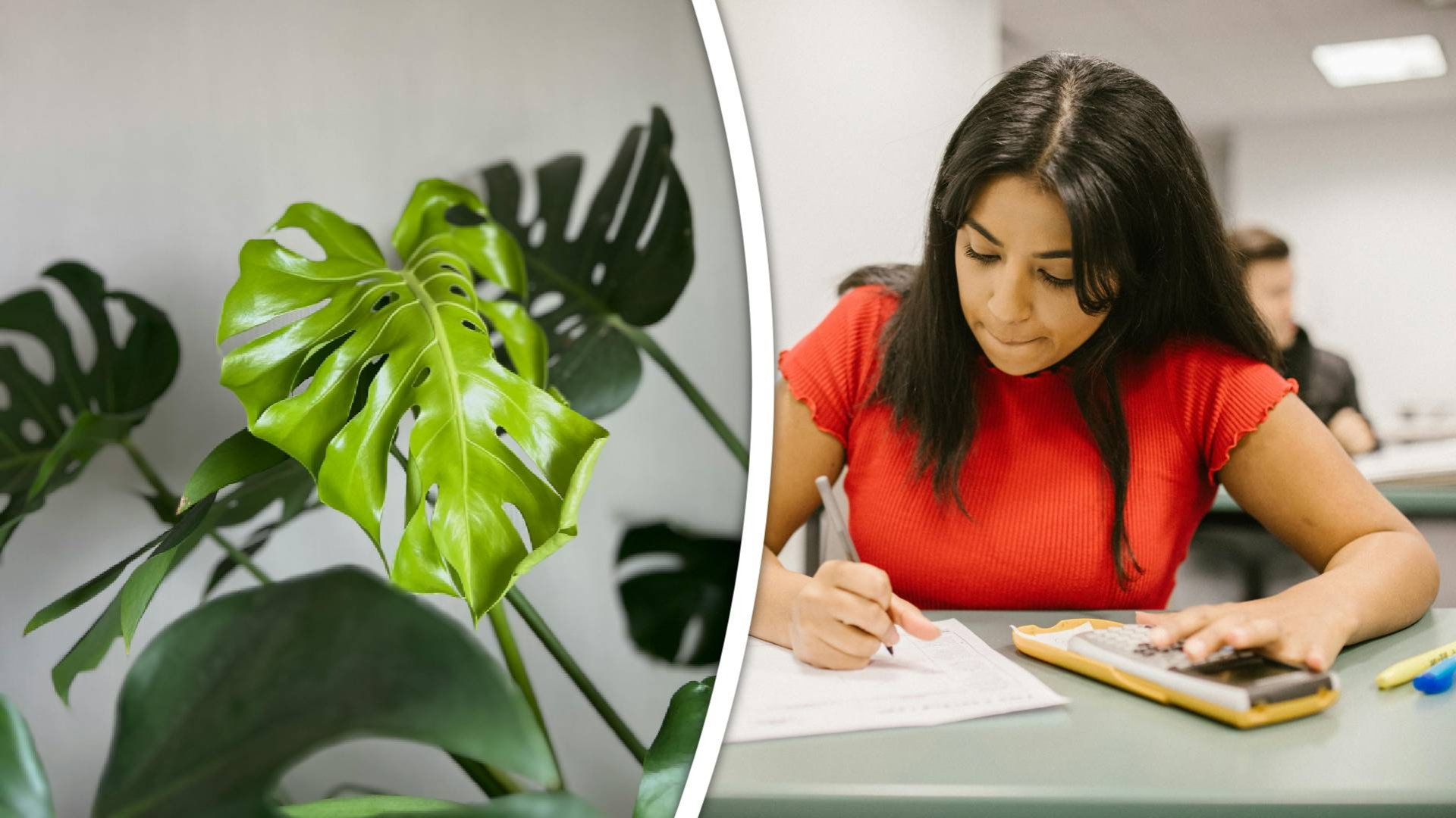 Leerlingen doen eindexamen tussen de planten.