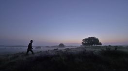 Vier seizoenen in de natuur 1