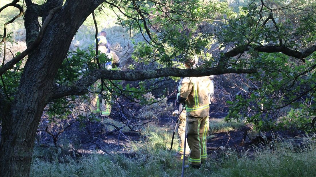 Brand in duingebied Meijendel