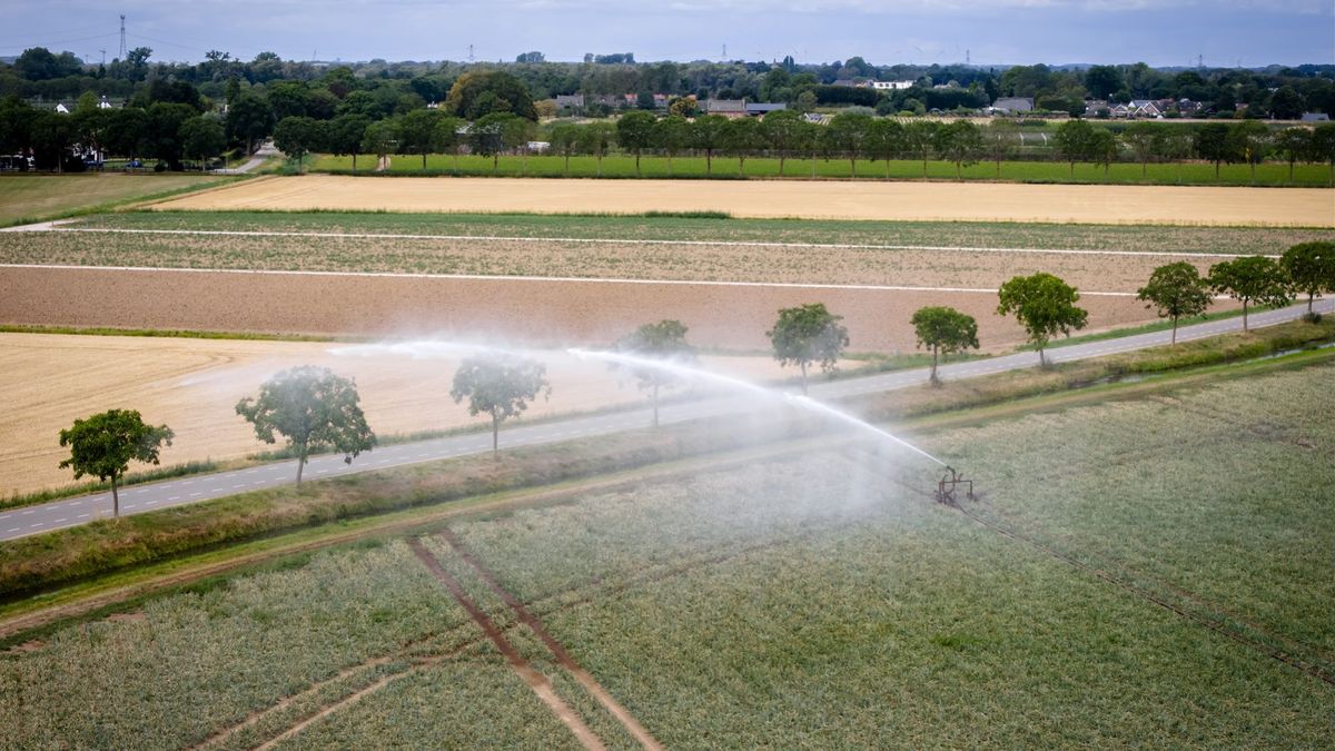 Tijdelijk verbod voor oppompen grondwater vanwege aanhoudende droogte