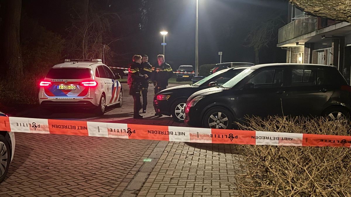 Steekincident in Zwolle, verdachte aangehouden