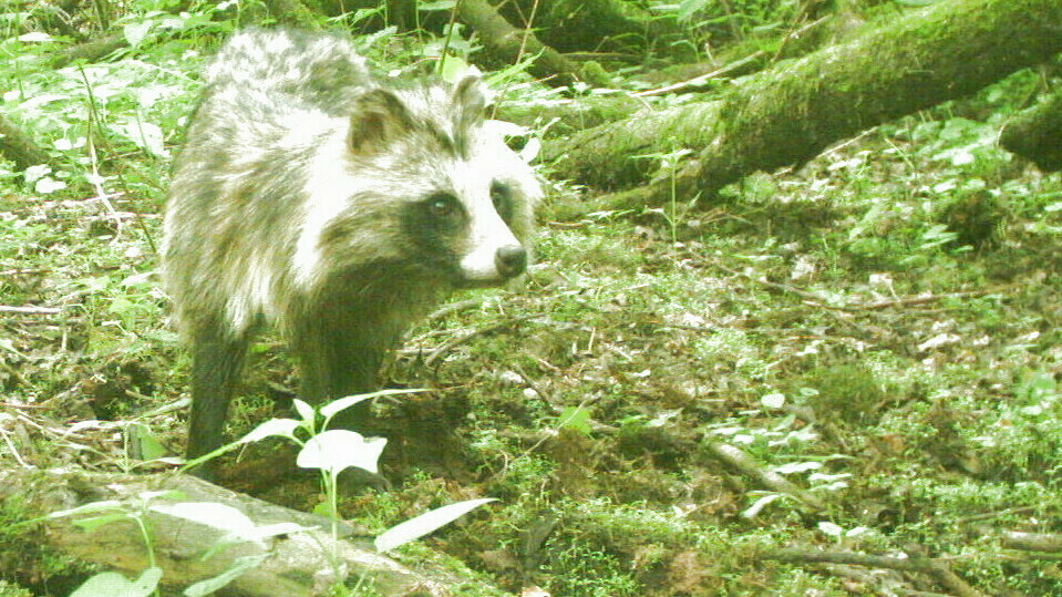 Droger dan in het recordjaar: Wetterskip roept boeren op om te