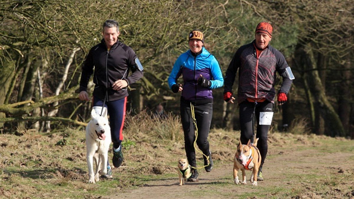 Kustmarathon breidt uit: rennen met je hond en 'Zeeuwse hyrox'