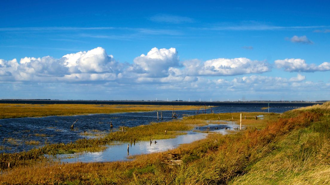 De Oosterschelde bij Waarde