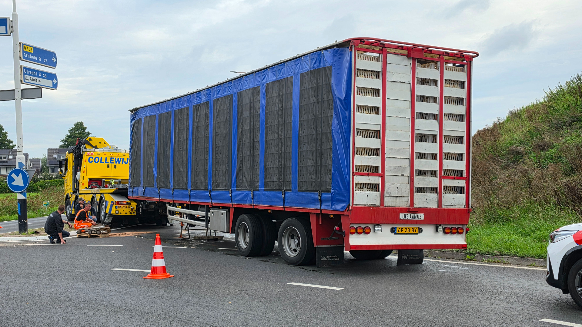 Oplegger vol pluimvee schiet los van vrachtwagen bij afslaan op rotonde