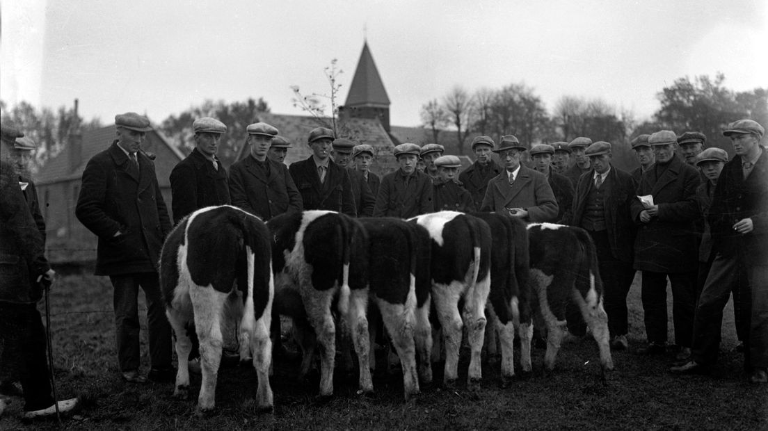 De jaarlijkse veekeuring in Nieuw-Schoonebeek