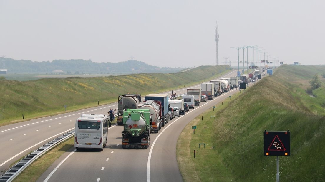 Archieffoto van een file voor de tunnel