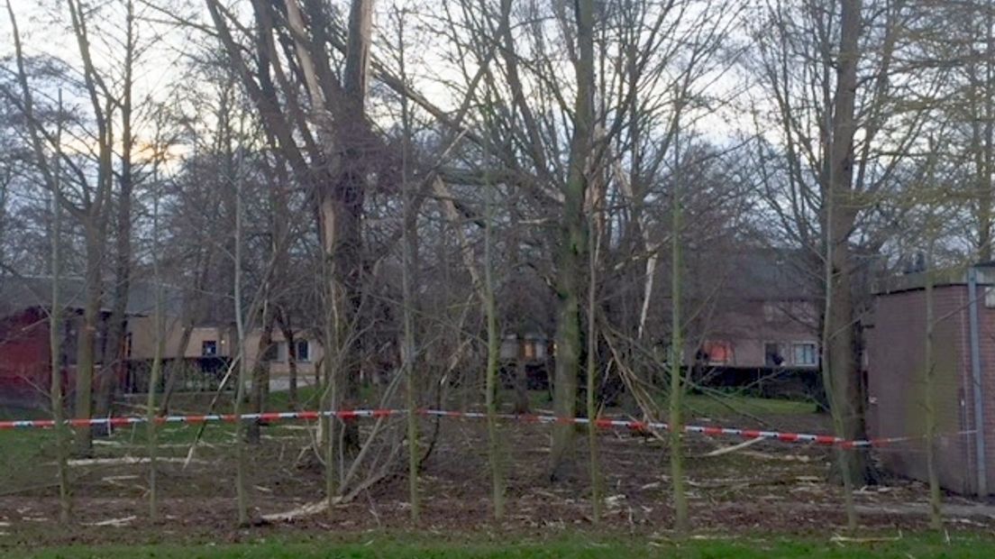 Blikseminslag in bomen bij Emergis in Kloetinge