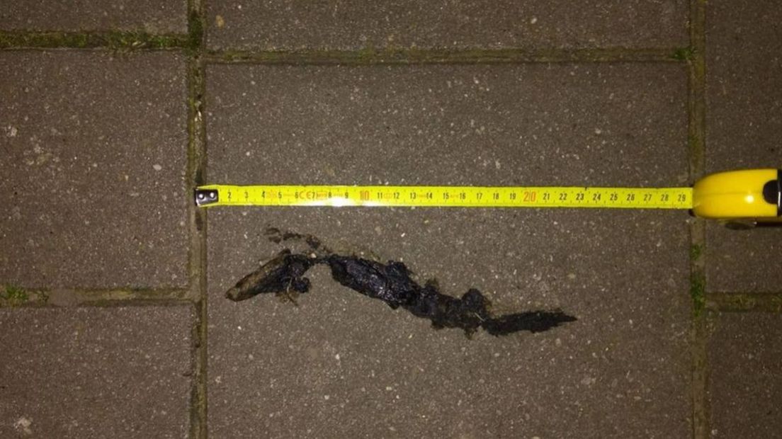 De wolvenpoep op de Dorpsstraat in Heumen.