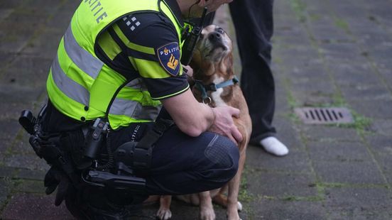 Ontruimingen bij zolderbrand Weert: rolstoelen over opgebroken straat Nieuws