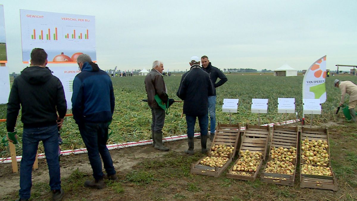 Beregening is belangrijk thema op de Uiendag in Colijnsplaat