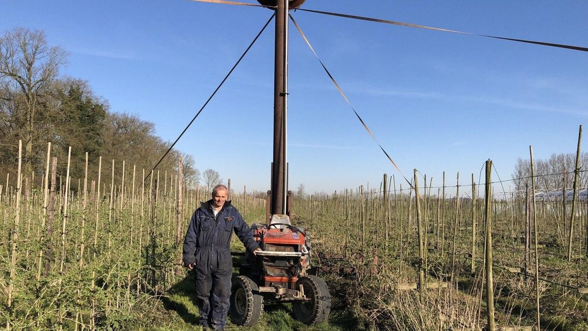Fruitteler zet windturbine in tegen vrieskou, maar hij heeft liever een helikopter