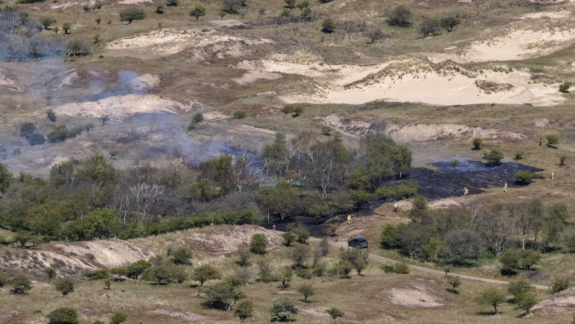 Brand in duinen bij Noordwijk: 800 vierkante meter natuur verwoest — image 1