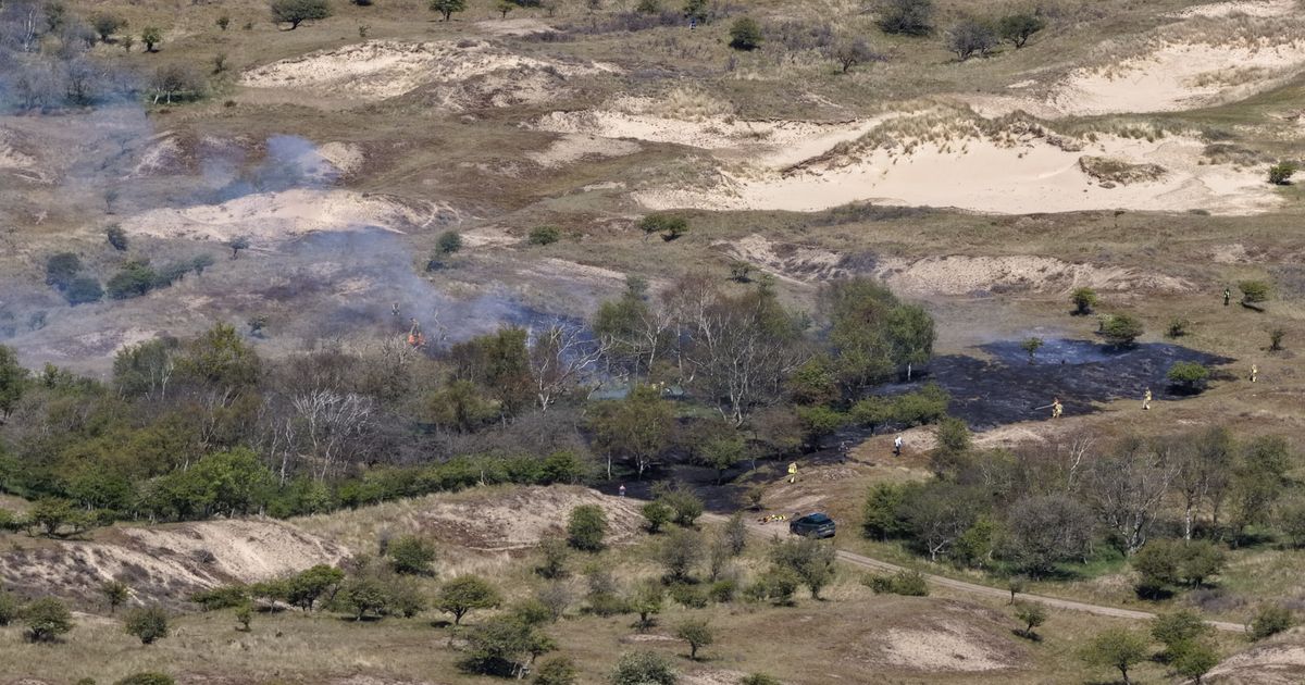 Large Dune Fire Near Noordwijk and De Zilk Sparks Major Alarm
