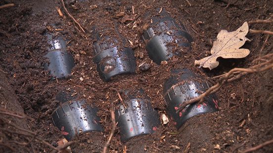 Granaten gevonden in het Asserbos, in twee keer tot ontploffing gebracht Nieuws