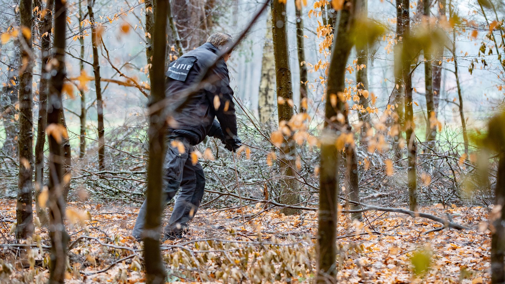 Opnieuw Zoekactie Naar Vermiste Man In Bos Schalkhaar? 'Nee, Het Is Een ...