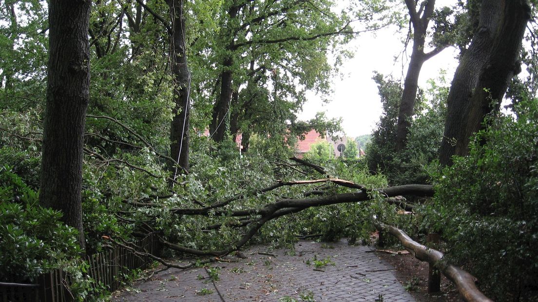 Schade aan Tierpark Nordhorn