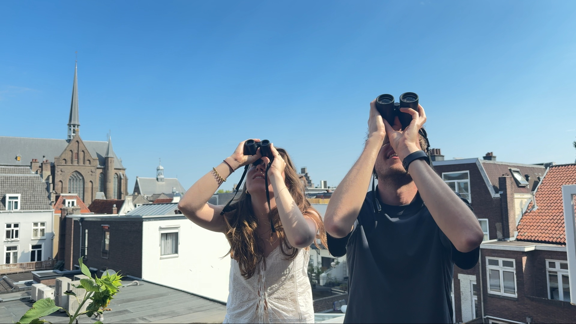 Slechtvalk gezien op de Domtoren: 'Ze eten voornamelijk stadsduiven'
