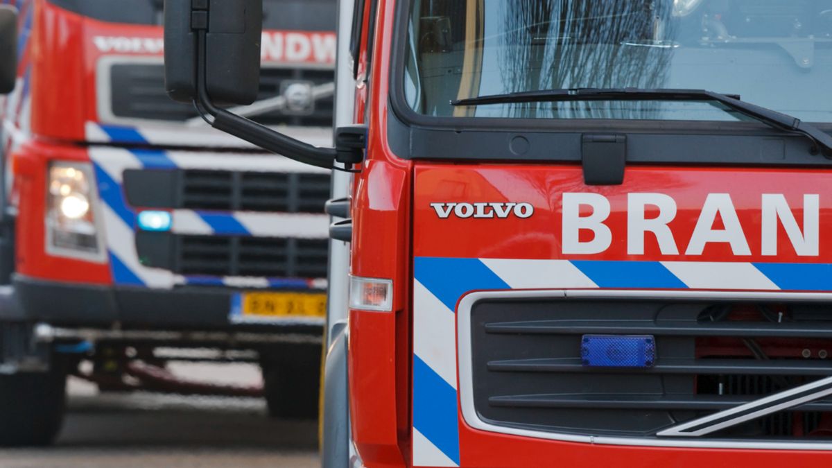 Meerdere brandweerkorpsen ingezet bij brand op Maasduinen in Bergen