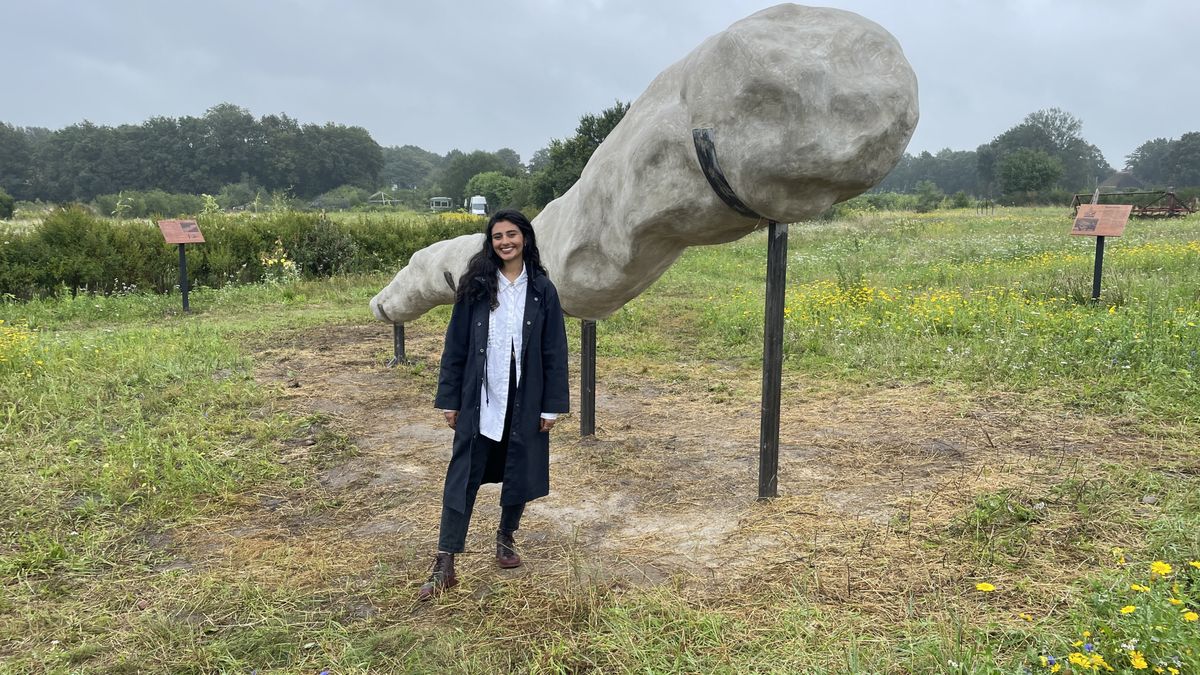 Kunst Into Nature in het Drouwenerzand: 'Uitdagend om te werken met de natuur'