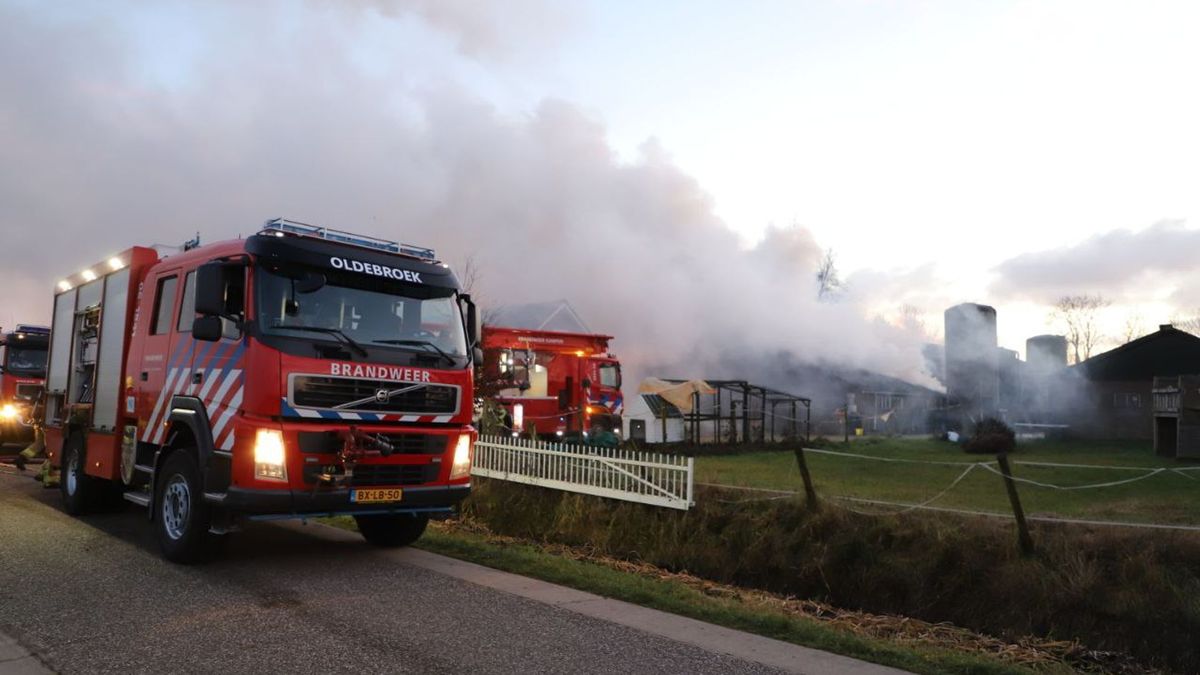 Grote brand in veestal op boerderij in Zalk, alle jongvee omgekomen