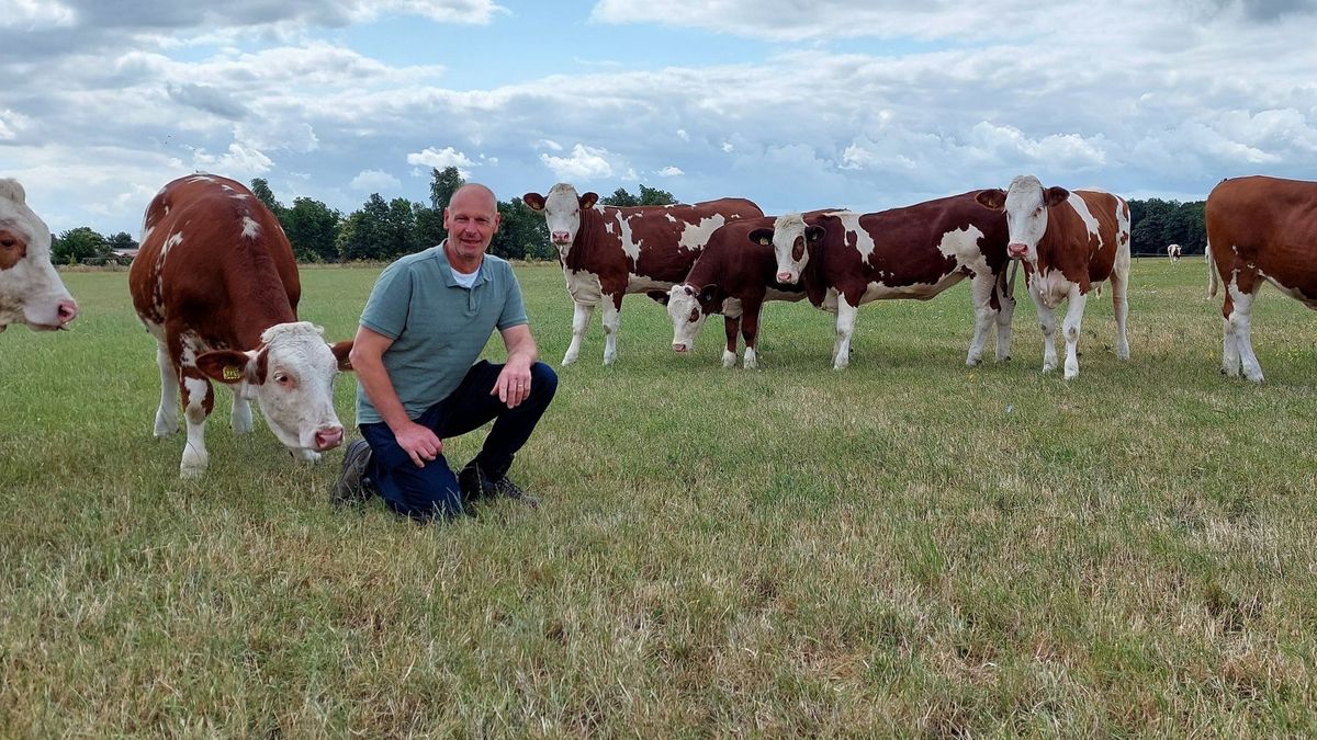 Gemeentebelangen De Wolden draagt Rudi Hooch Antink voor als nieuwe wethouder