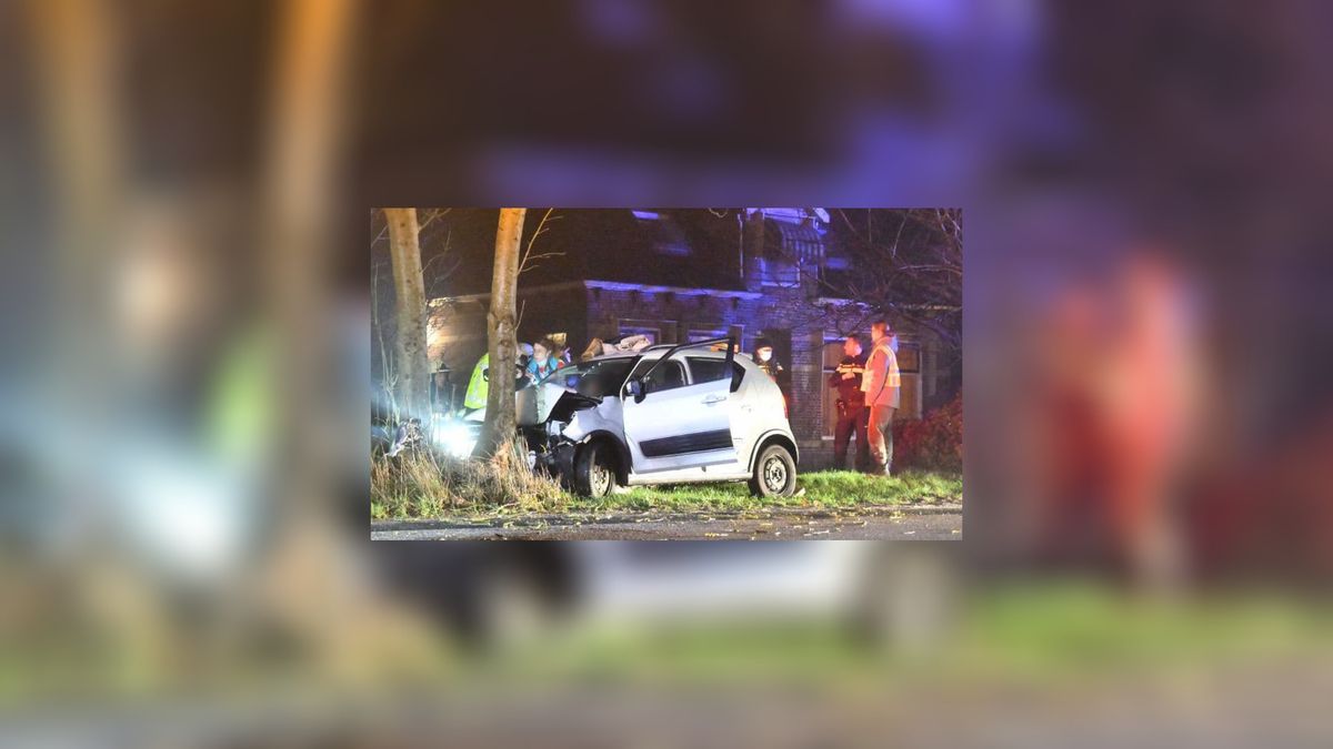 Auto botst tegen boom bij Donkerbroek: drie gewonden