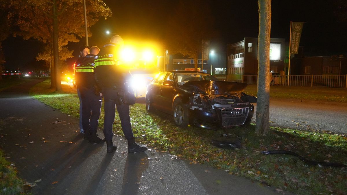 Automobilist mist bocht in Hoogeveen en eindigt tegen boom