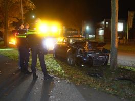 Automobilist mist bocht in Hoogeveen en eindigt tegen boom
