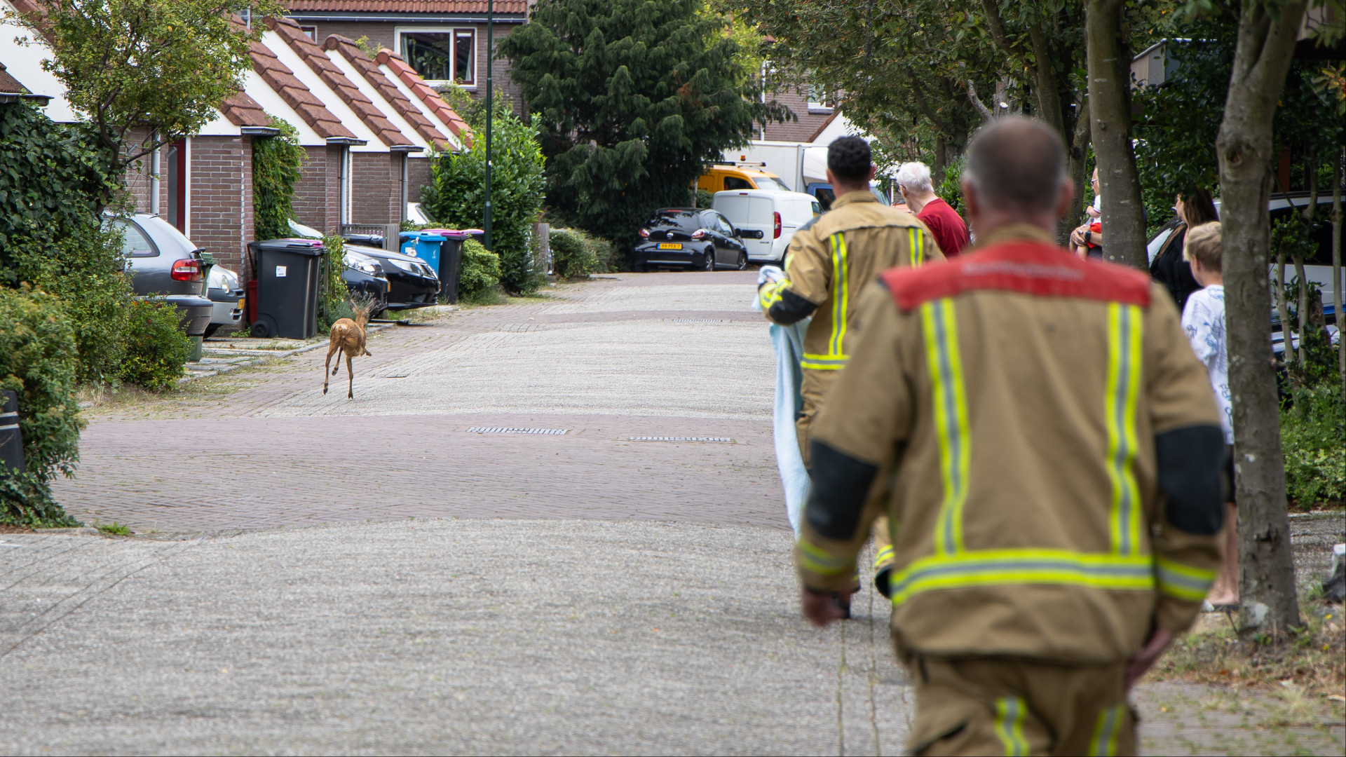 De brandweer probeerde de ree te helpen, maar het dier ging er snel vandoor