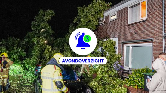 Boom op huis, nieuwe busdienstregeling en levende standbeelden op 28 juni