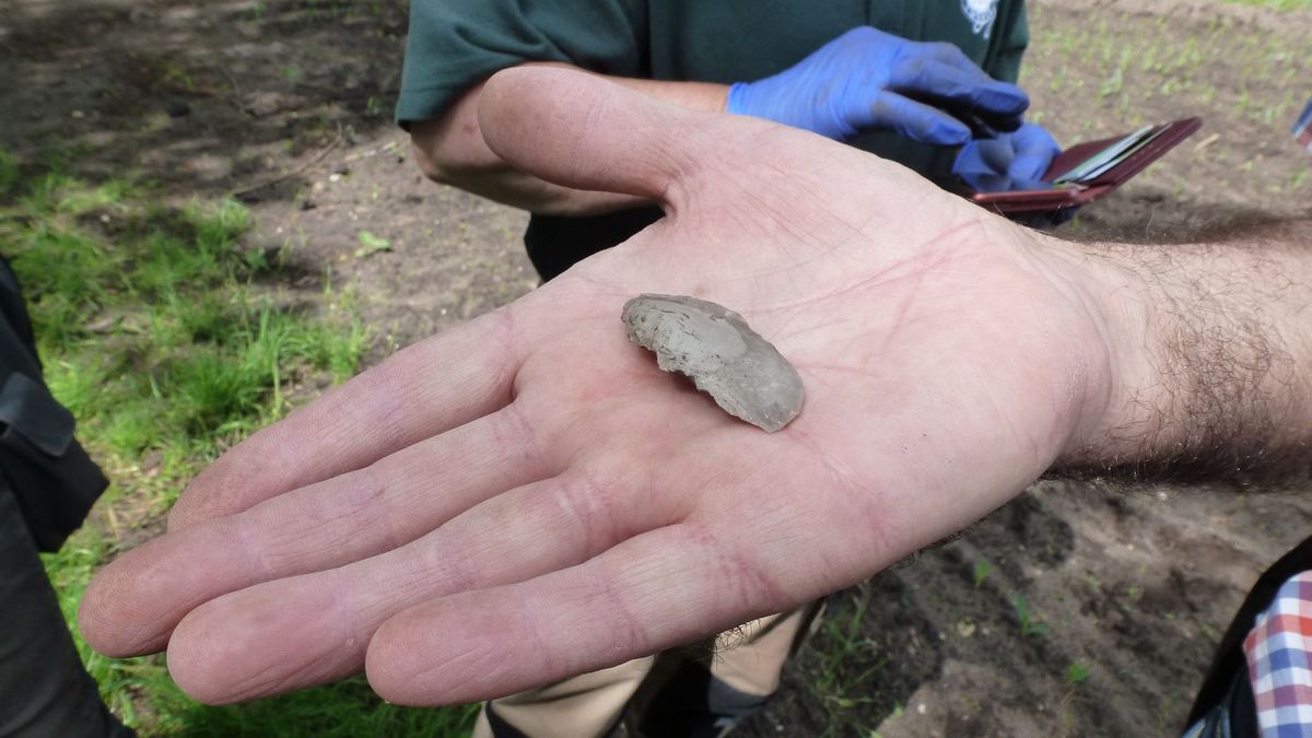 Werktuigen van Neanderthalers gevonden in Mander: 