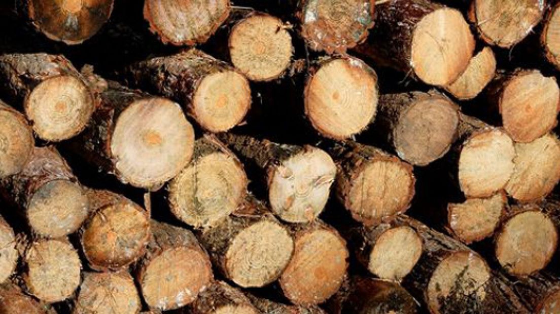 Particuliere bosbouw draait verlies