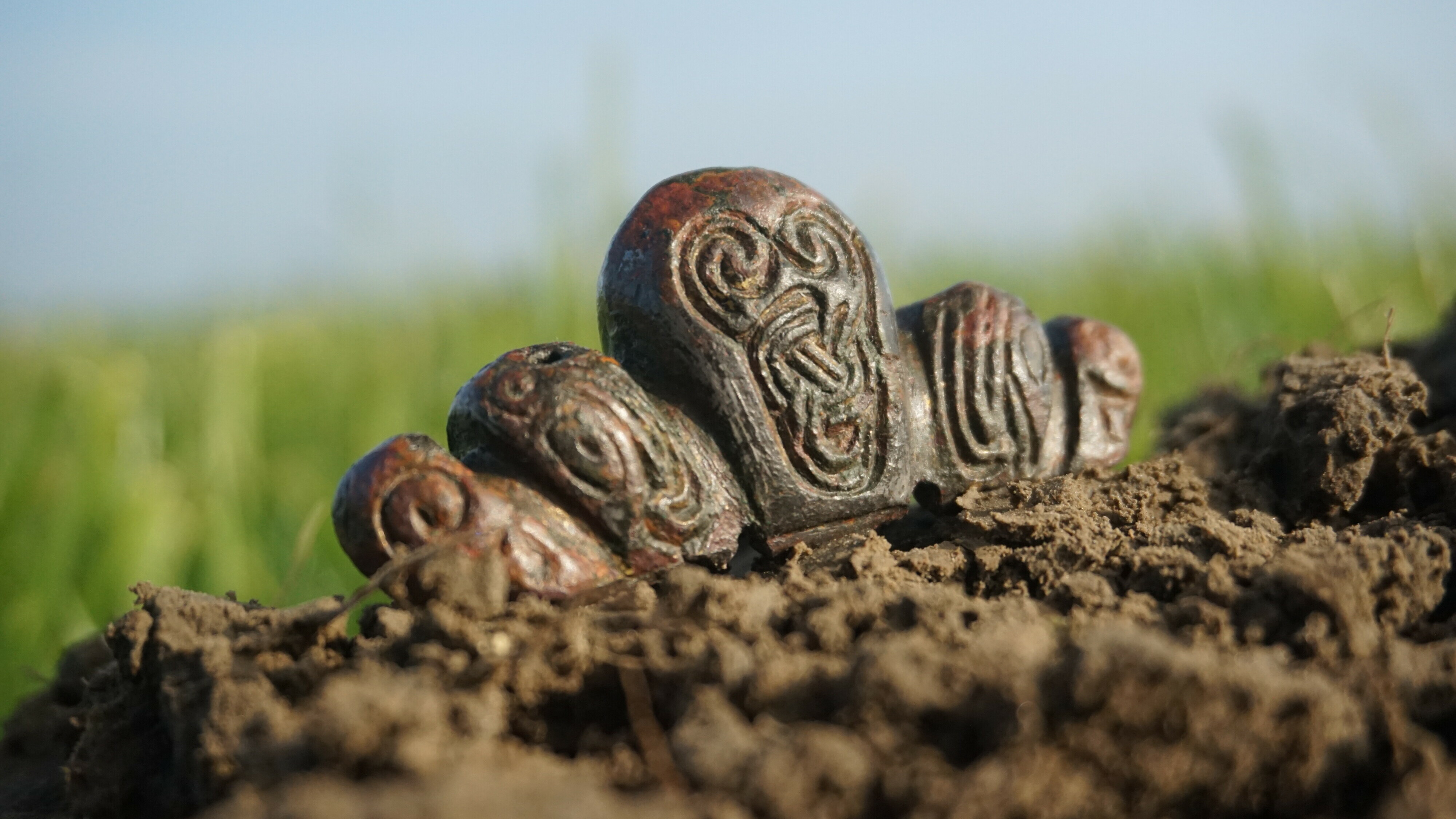 Er werd in Fryslân onder meer een pommelkap gevonden