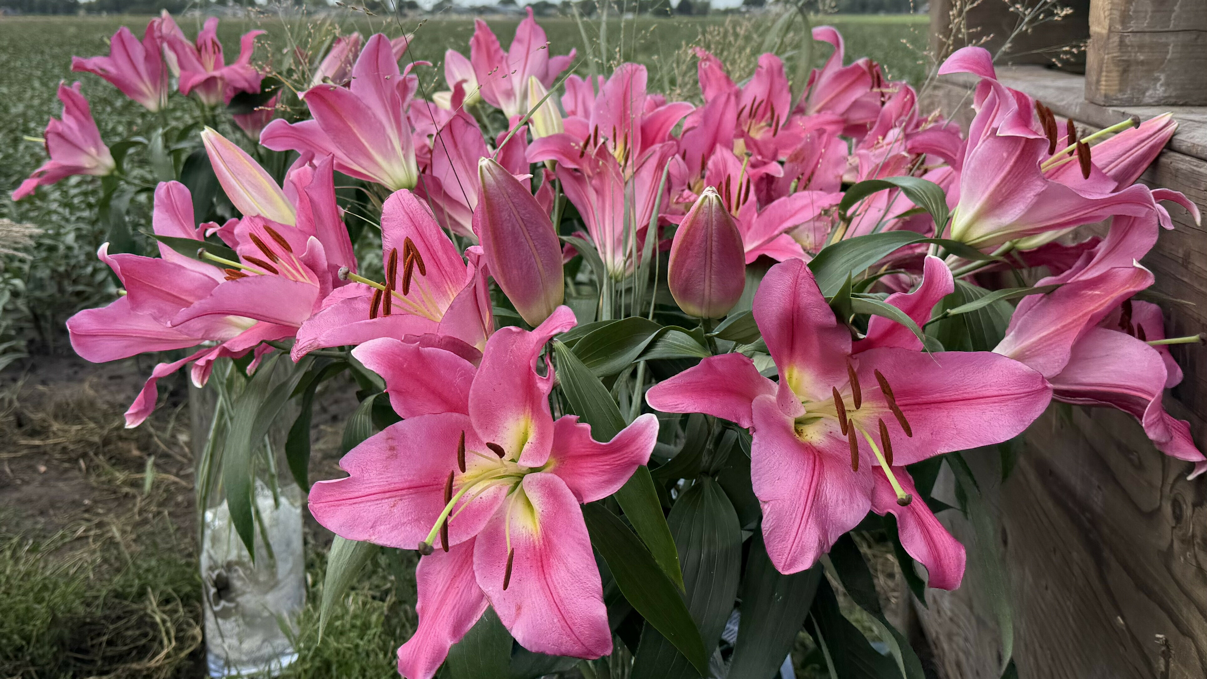 Raad van State zet openbaarmaking spuitgegevens voorlopig in juridische ijskast