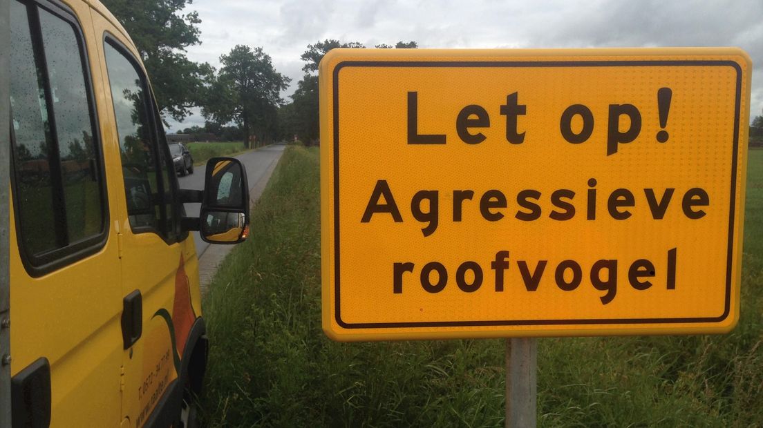 De gemeente Raalte waarschuwt passanten voor roofvogel