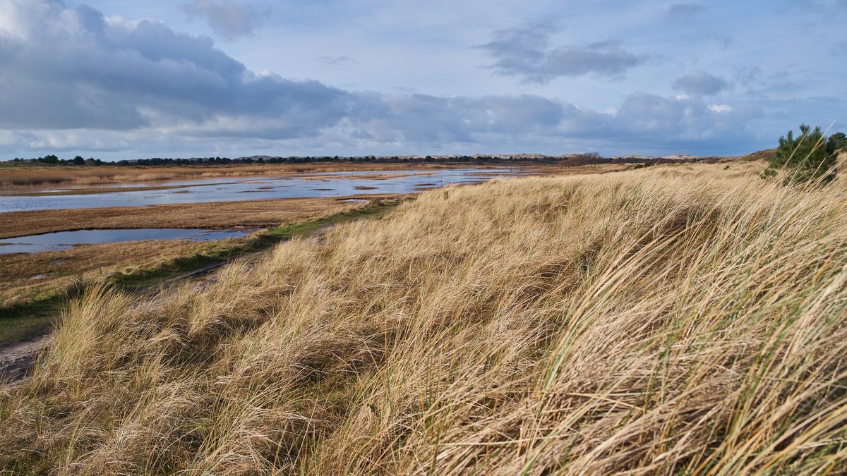 Natuurlijk watersysteem moet terugkomen op Groene Strand Terschelling