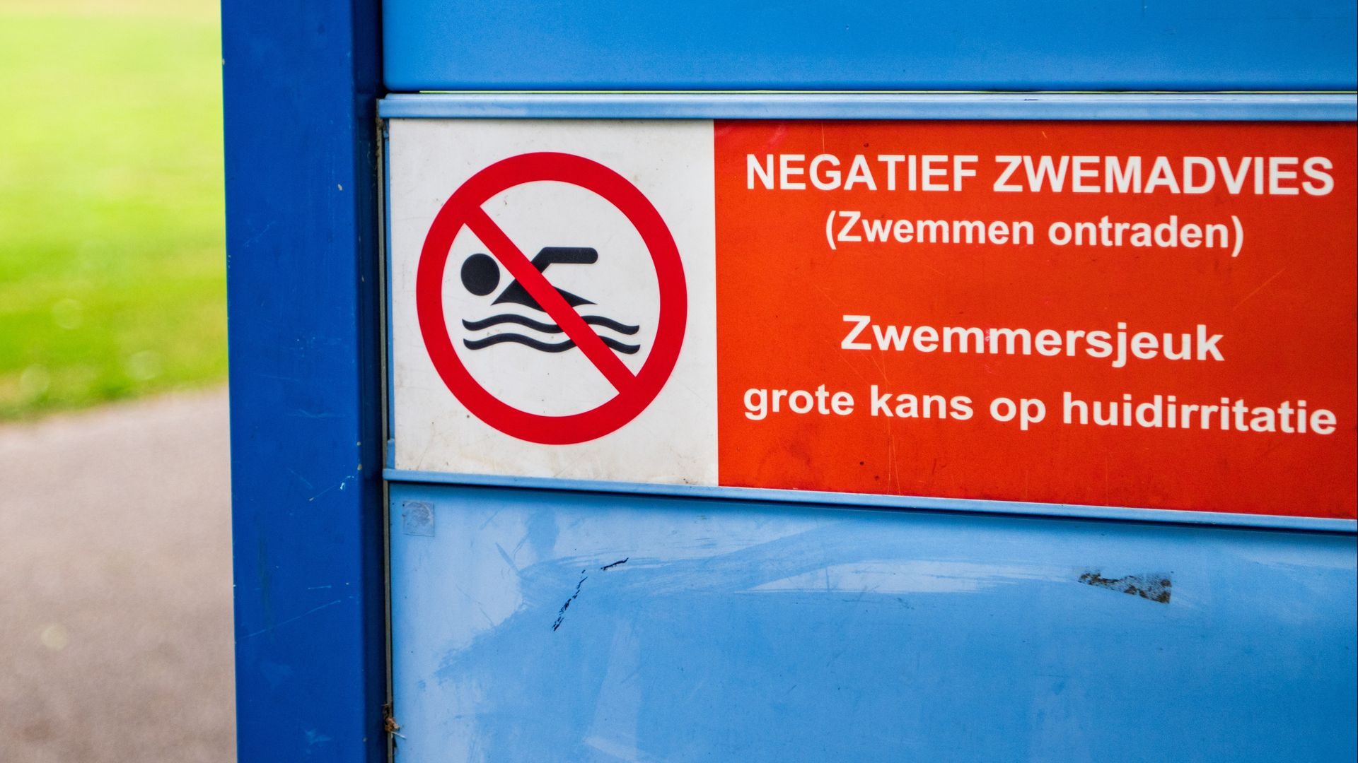 Provincie waarschuwt voor tweede keer deze week voor zwemmersjeuk